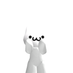 @hirtcan01