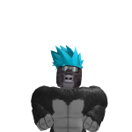 @randomtestplay1