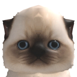 @Caligari_youtub