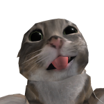 @snow_flurrries