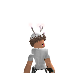 @leumas1355