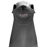 @andrebocc