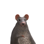 @streamer142382