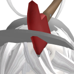 @S3RENDlP1TY