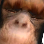 @crazeofcat12