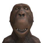 @caseyplaysroblox24