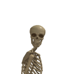 @Cashier_Real3