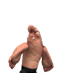 @therat_71