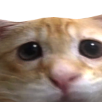 @BTMllGAMING