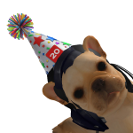 @doglover223331