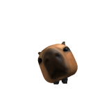 @thecapybararb