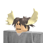 @BloxyCola_BC