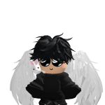 @RoStar_Dev