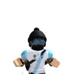 @sswessea