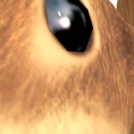 @jjkungROBLOX