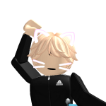 @sadcryingcat04