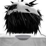 @Noob_roblox1er