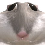 @EarFortuneBoy