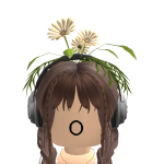 @rvjus
