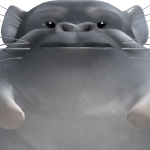 @CH1O9