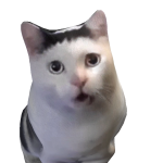 @fhdjdffhjfh