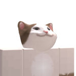 @roblox_user_5746847322