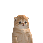 @otterbear135
