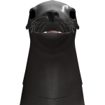 Ieatconcrete
