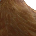 @Pol_roblox17