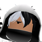 @NikeIt_Roblox