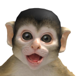 @yf3zz