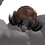 @d6_m8n