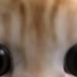 @SeriousCheater