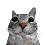 @SPINODRI