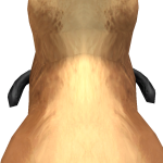 @Addisonk2468