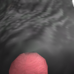 @hampy_worldyt