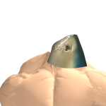 @C0WB0YFROG