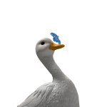 @we_areflamingos