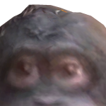 @oregoninus