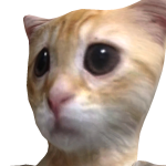 @justdance141