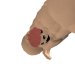 @Hasgdyh
