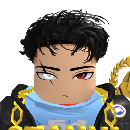 Roblox profile picture for @Gamooool
