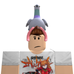 @Coolkingtyler09