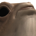 @NKapvbCAElM