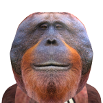 @samuelnewgames