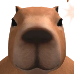 Chillpibara's avatar