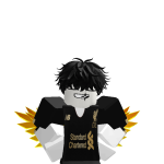 @bautipro_roblox1