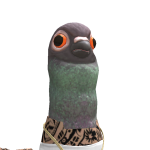 @caactux