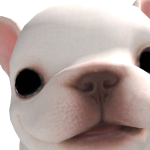 @ignacio261108
