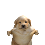 @katmey567